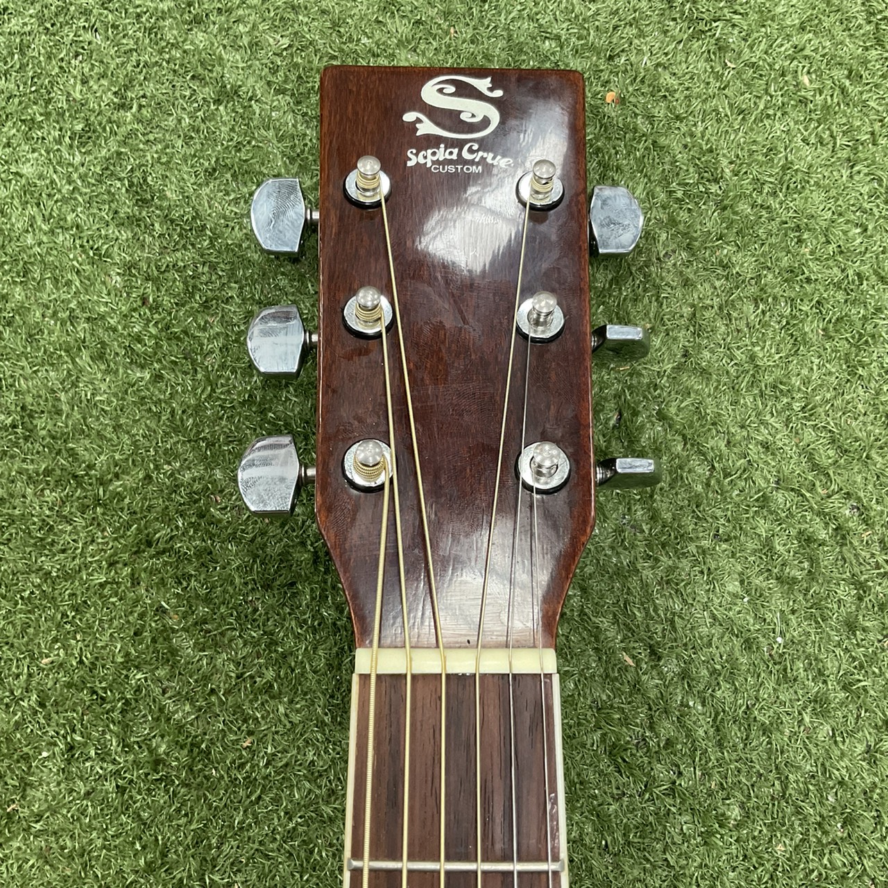 กีต้าร์โปร่ง Sepia Crue : W-250 N