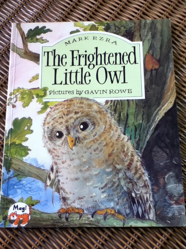 The Frightened Little Owl/ MARK EZRA