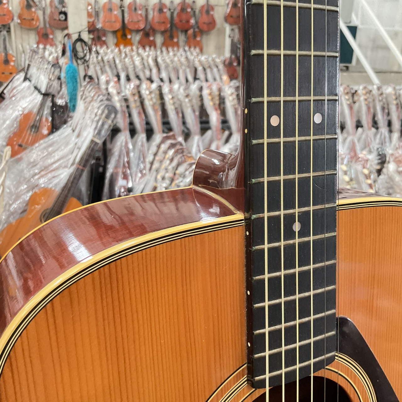 กีต้าร์โปร่ง YAMAHA : FG-151