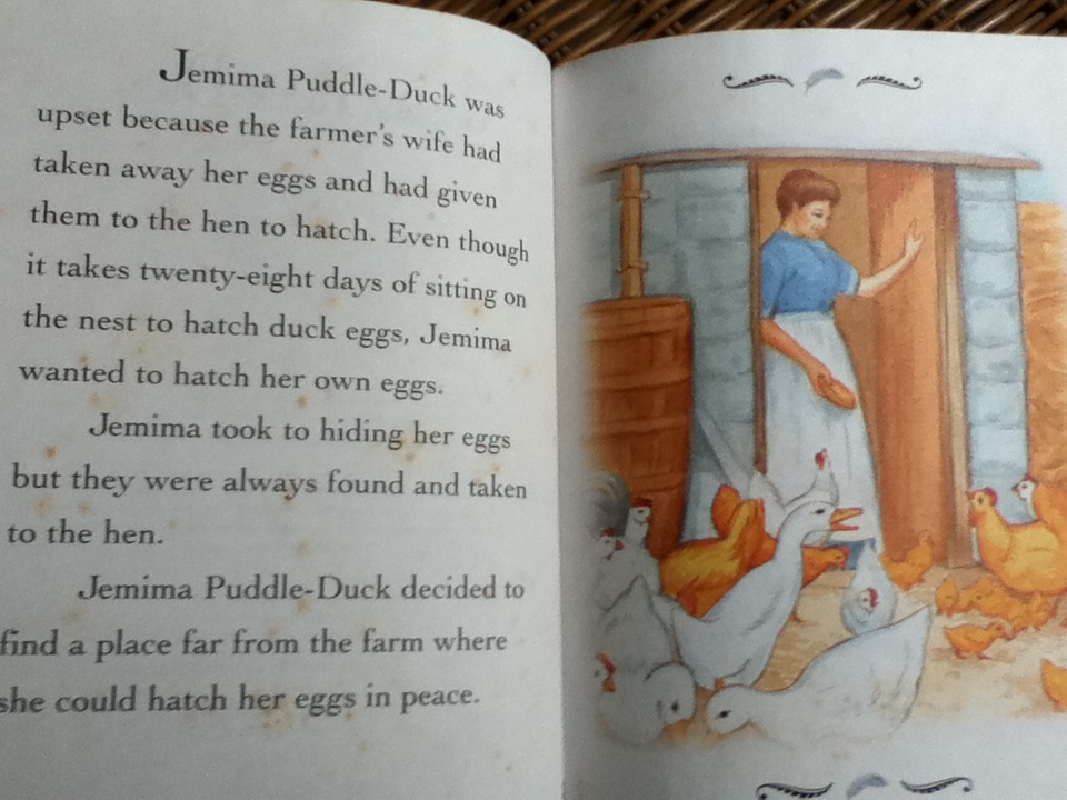 Jemima Puddle-Duck และ A Children's Book About BEING MEAN รวม 2 เล่ม
