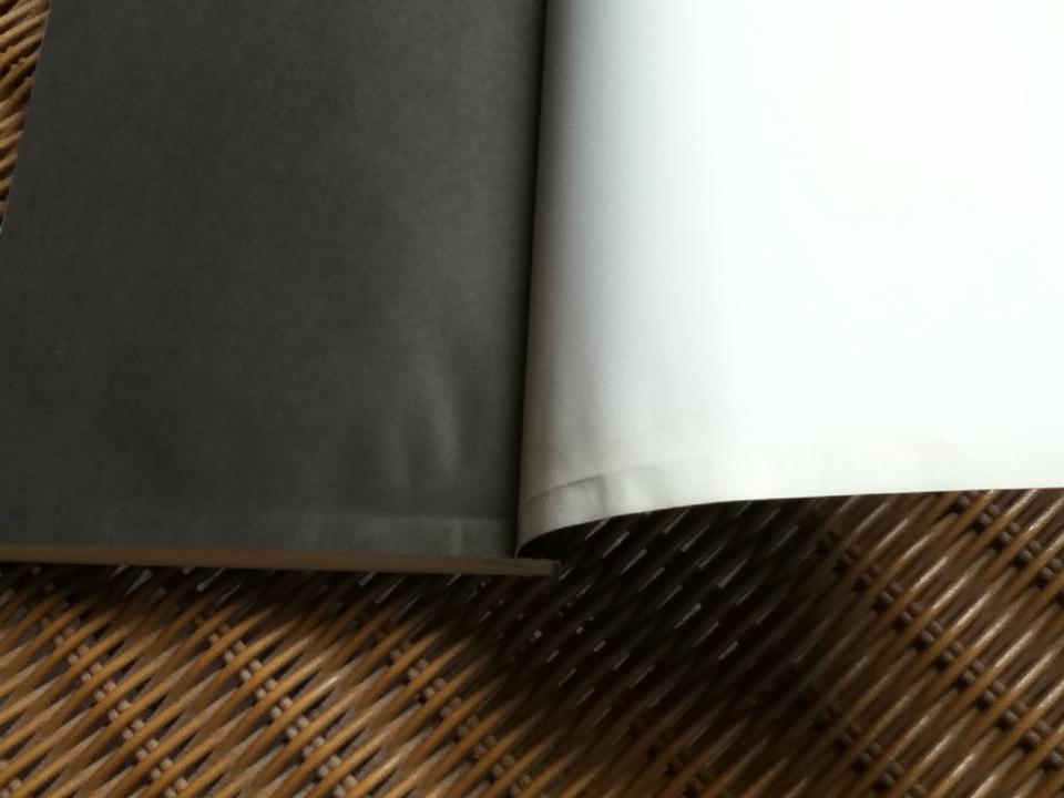 กลยุทธ์เล่ห์เหลี่ยมฮิตเลอร์/ กิตติ โล่ห์เพชรัตน์