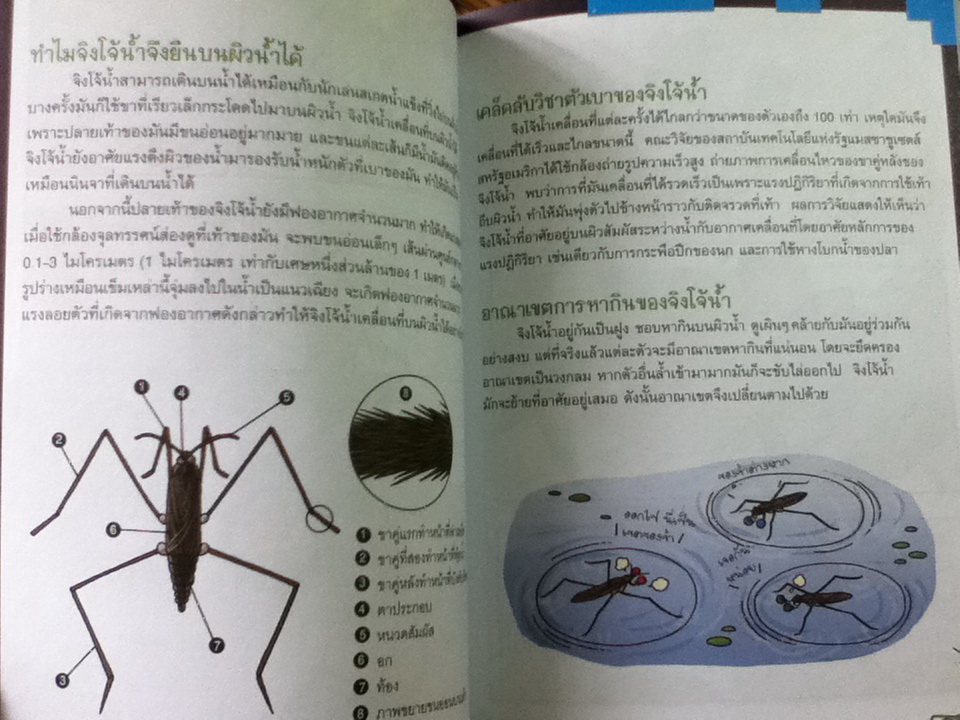 เอาชีวิตรอดในอาณาจักรแมลง เล่ม 1-3/ ฮอง แจซอย