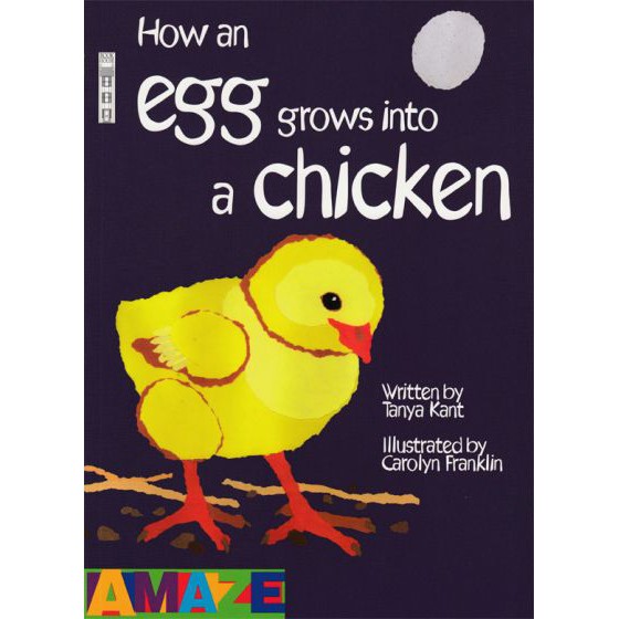 AMAZE: HOW AN EGG GROWS INTO A CHICKEN BY DKTODAY