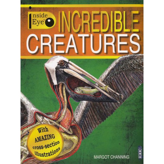 INSIDE EYE: INCREDIBLE CREATURES BY DKTODAY