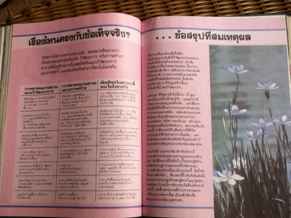 ชีวิตเกิดขึ้นมาอย่างไร? โดยวิวัฒนาการหรือมีผู้สร้าง? (ศาสนาคริสต์)