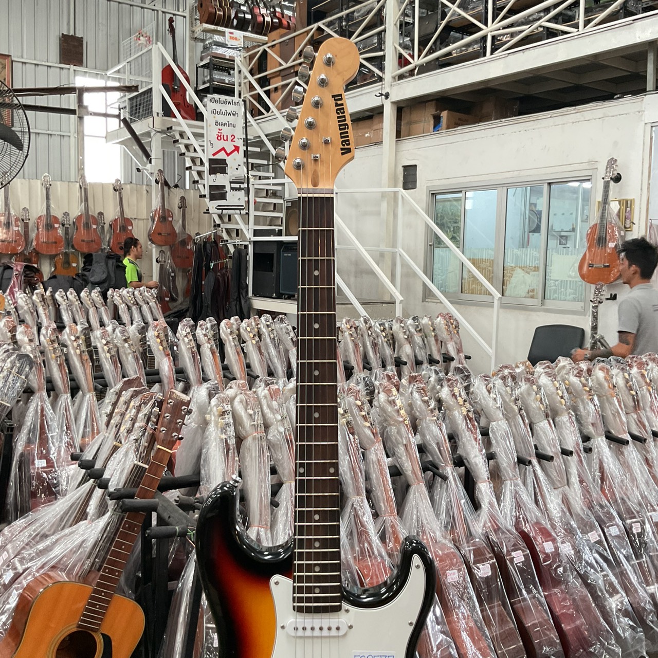 กีต้าร์ไฟฟ้า Vanguard