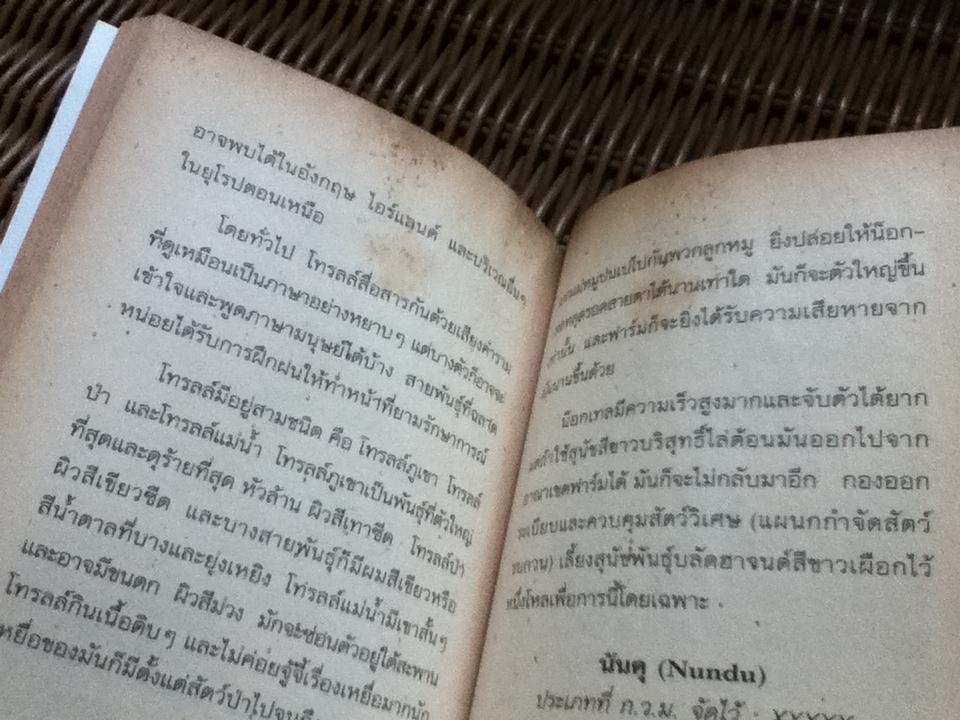 สัตว์มหัศจรรย์และถิ่นที่อยู่/ นิวท์ สคามันเดอร์