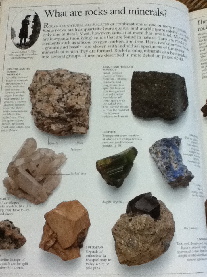 ROCKS & MINERALS (ปกแข็ง)