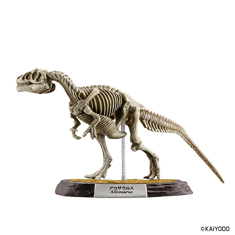 Dinoasaur Master 5 10Pack BOX (CANDY TOY)(Released)