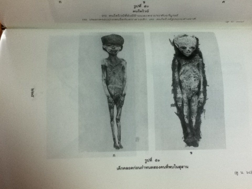 สุสานของตุต.อังค์.อาเมน เล่ม 3 ห้องแอนเนกซ์ และห้องพระคลัง/ เฮาเวิร์ด คาร์เทอร์/ กิ่งแก้ว อัตถากร ผู้แปล