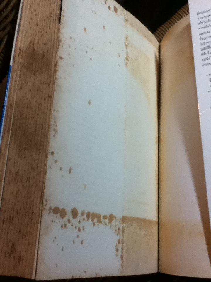 อุปนิสัยที่8: จากประสิทธิผลสู่ความยิ่งใหญ่/ สตีเฟ่น อาร์. โควีย์