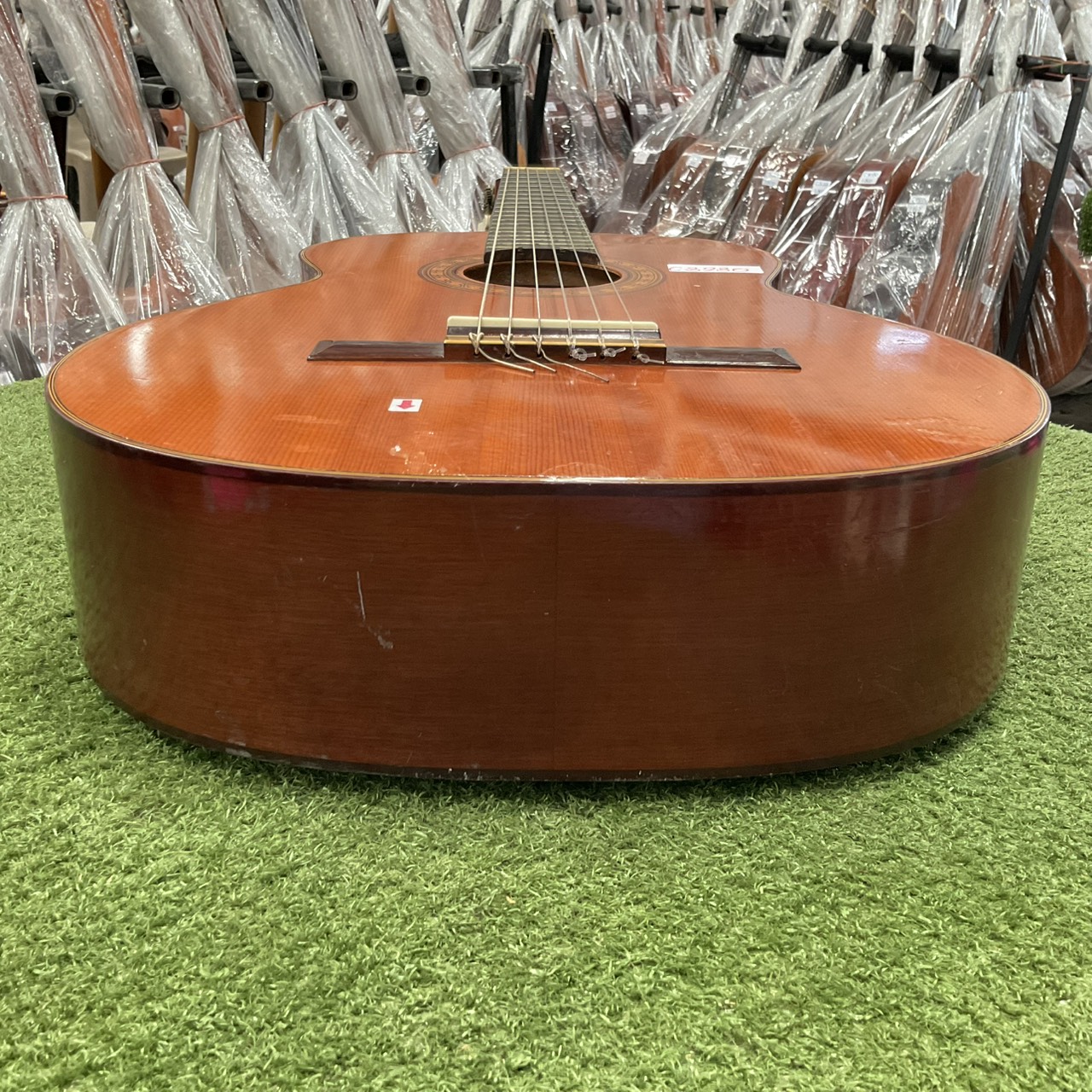 กีต้าร์คลาสสิค SUZUKI : N6