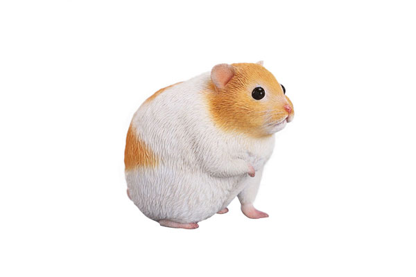 1/1 Hamster D(Provisional Pre-order)