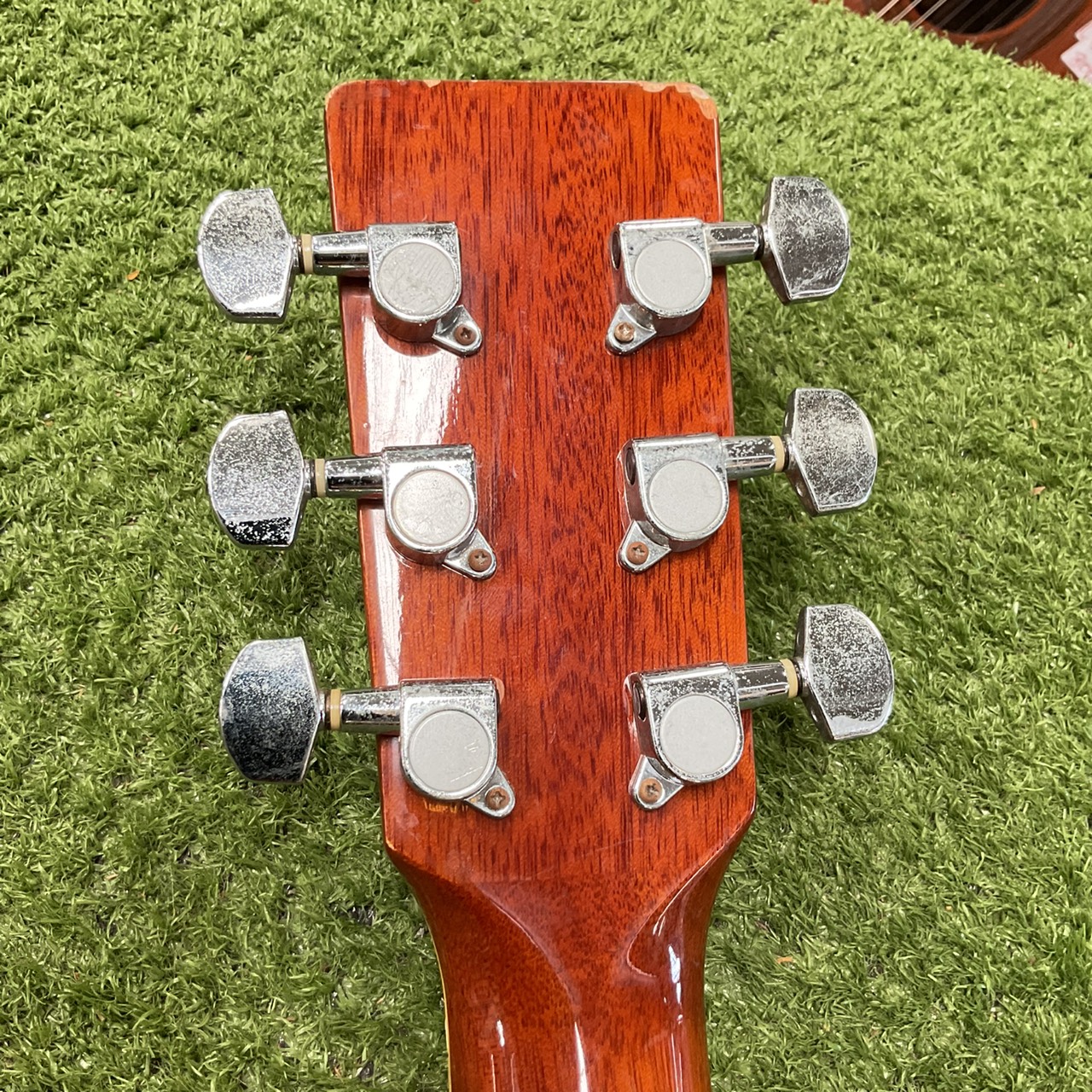 กีต้าร์โปร่ง Legend : WG-20 BS