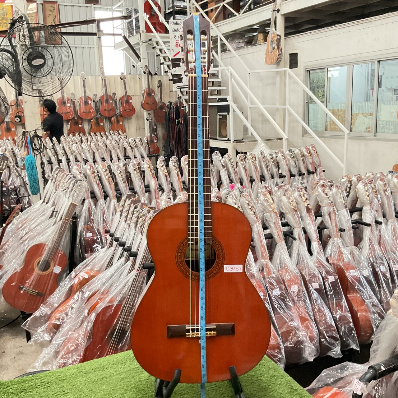 กีต้าร์คลาสสิค Shinano : No.55