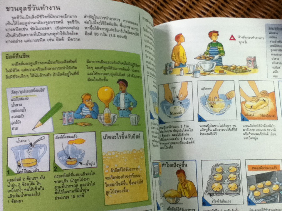 วิทยาศาสตร์ชวนทดลอง/ Jane Bingham/ วราภรณ์ มั่นเศกวิทย์