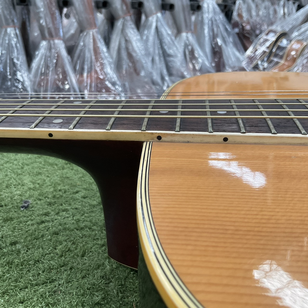 กีต้าร์โปร่ง Morris : W-20 (สำหรับมือซ้าย)