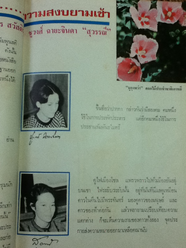 ดินแดนแห่งความสงบยามเช้า