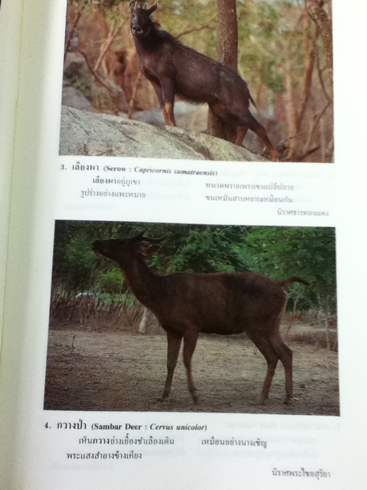 สัตว์ในวรรณคดีไทย เล่ม 2 (หนังสือแถม)