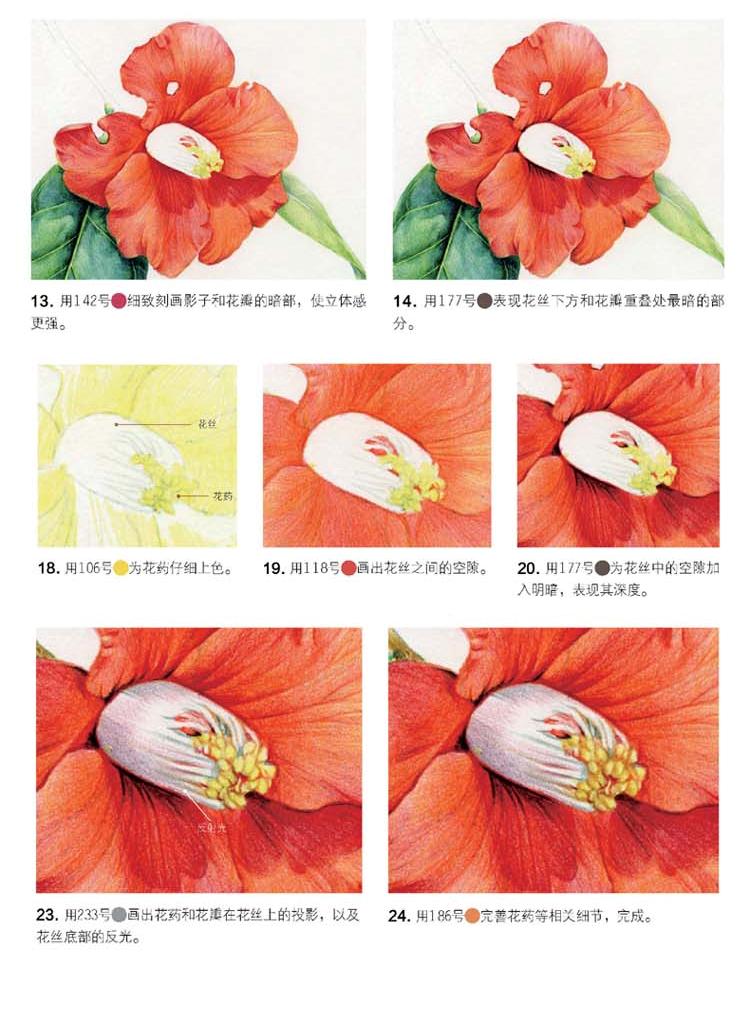 (Pre-order) หนังสือ FLOWER DRAWING