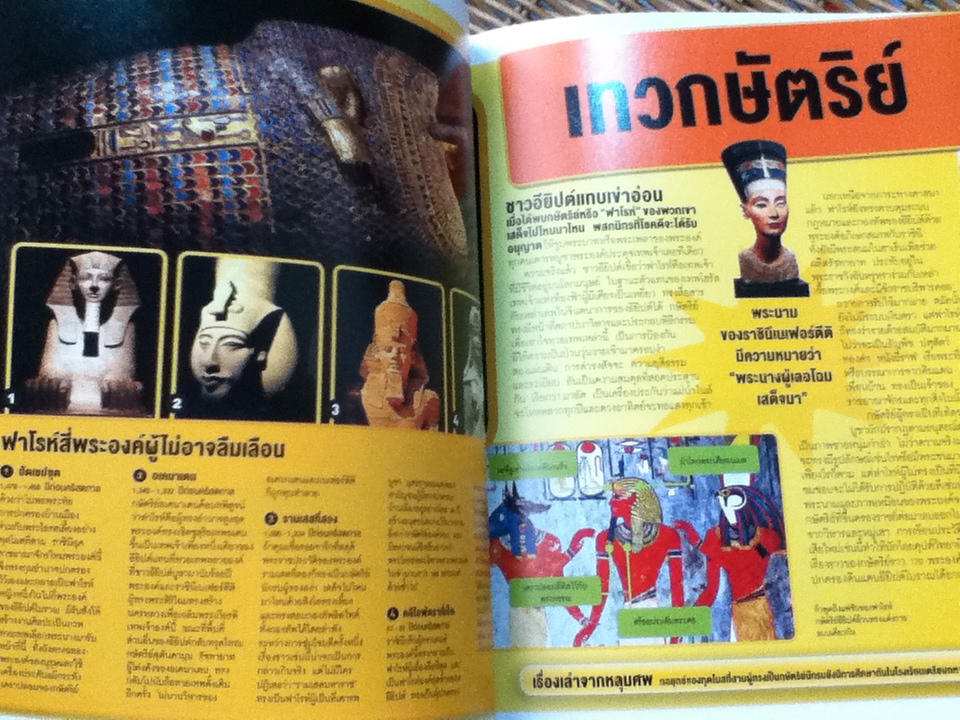 NATIONAL GEOGRAPHIC KIDS ชุด รู้ไปหมด เรื่องแมลง, เรื่องอวกาศ, เรื่องอียิปต์โบราณ และเรื่องไดโนเสาร์ รวม 4 เล่ม