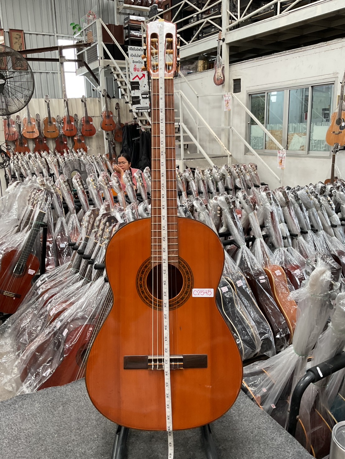 กีต้าร์คลาสสิค Zen-on Gut : No.50