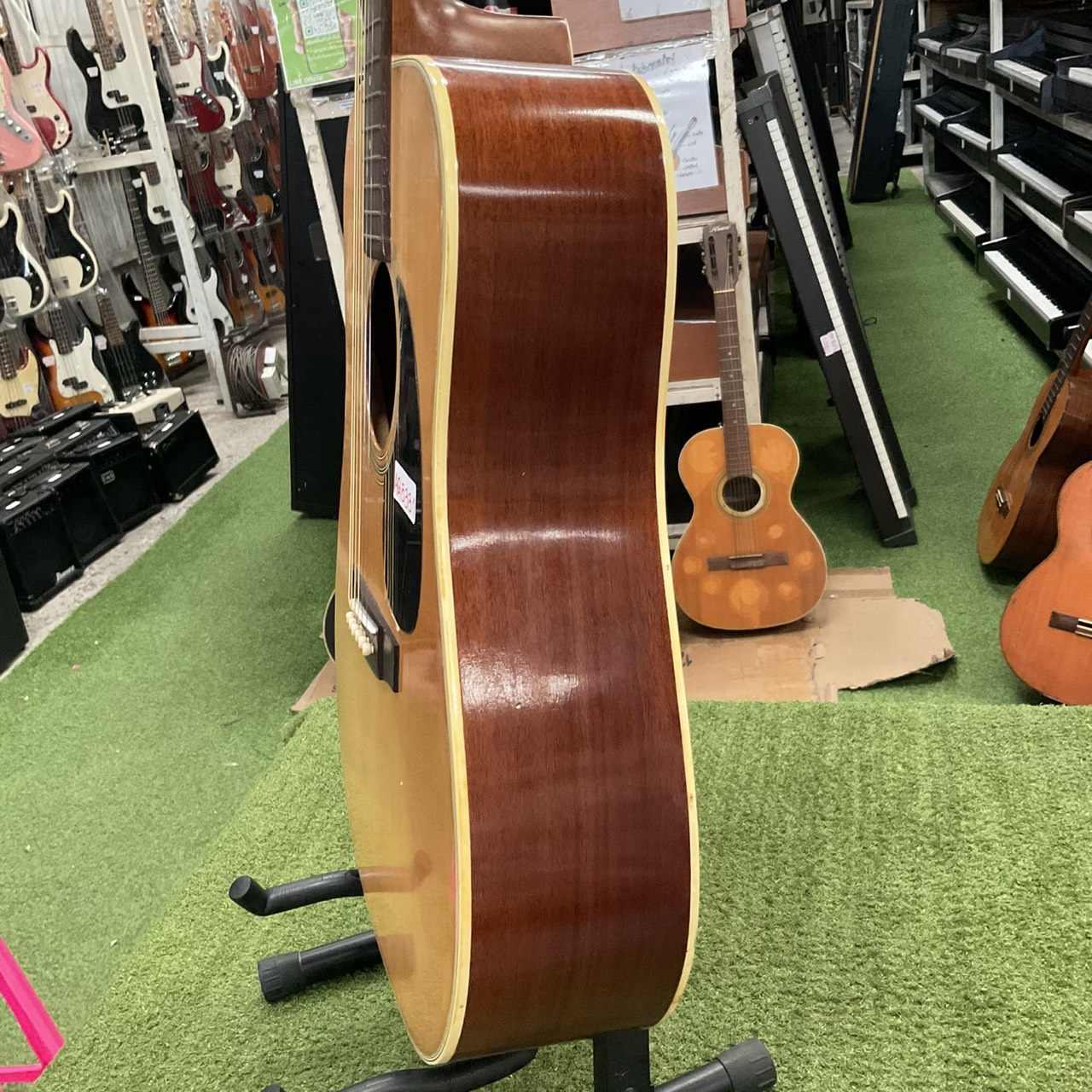 กีต้าร์โปร่ง Morris : W-18