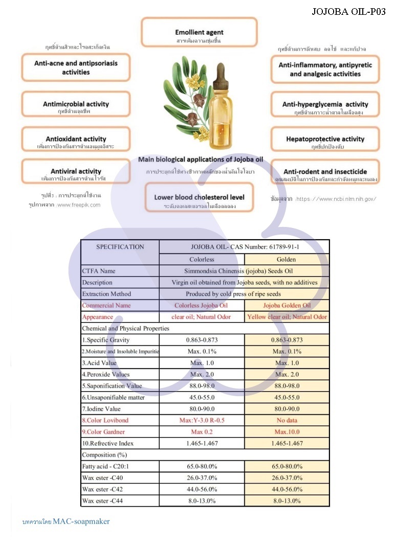 Natural oil: Jojoba Oil น้ำมัน โจโจบา