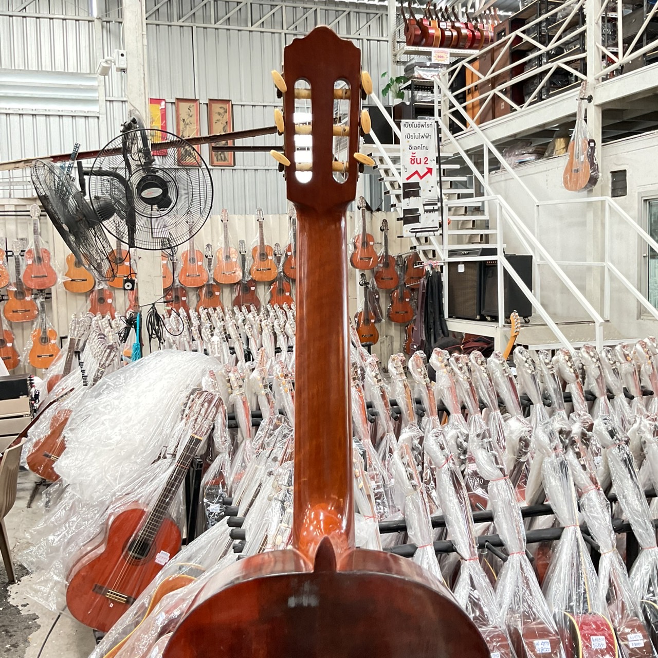 กีต้าร์คลาสสิค Abe Gut : 65F