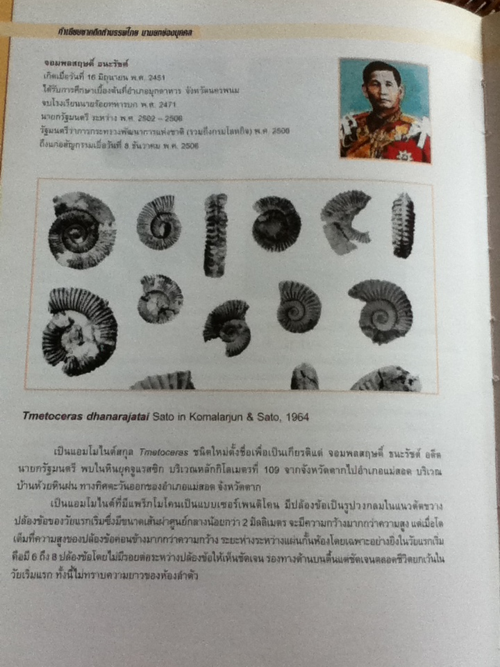 ทำเนียบซากดึกดำบรรพ์ไทย นามยกย่องบุคคล/ กรมทรัพยากรธรณี