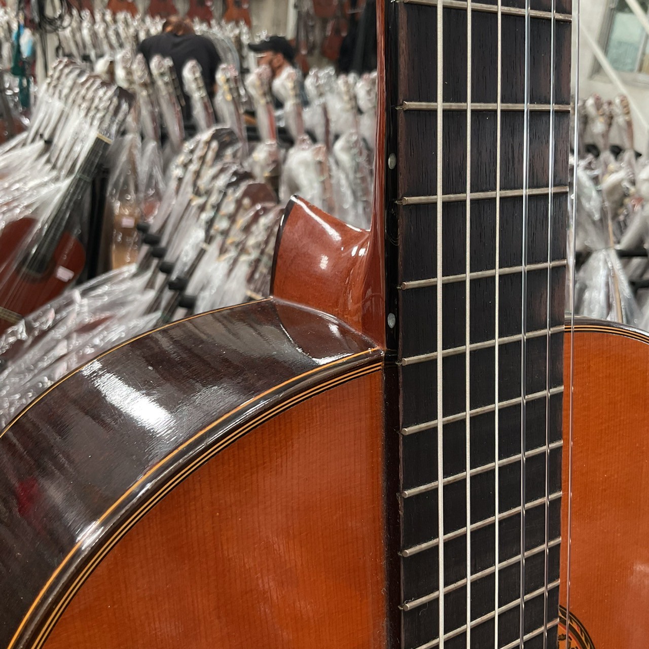 กีต้าร์คลาสสิค Grand Shinano : GS150