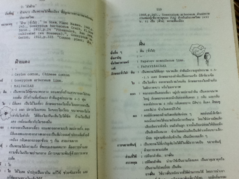 พจนานุกรมสมุนไพรไทย/ ดร.วิทย์ เที่ยงบูรณธรรม