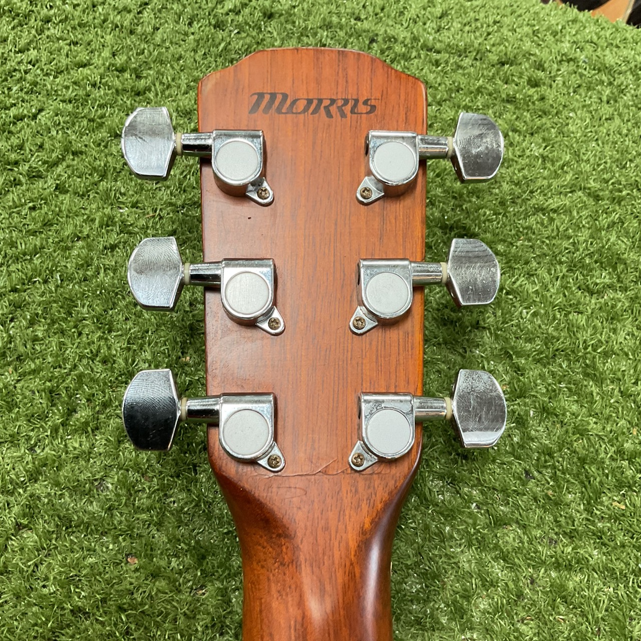 กีต้าร์โปร่ง MORRIS : M-01NAT