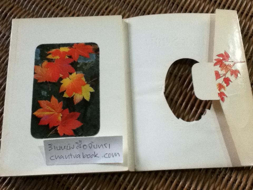 นิยามรัก ณ กาลครั้งหนึ่ง/ ผกาวลี