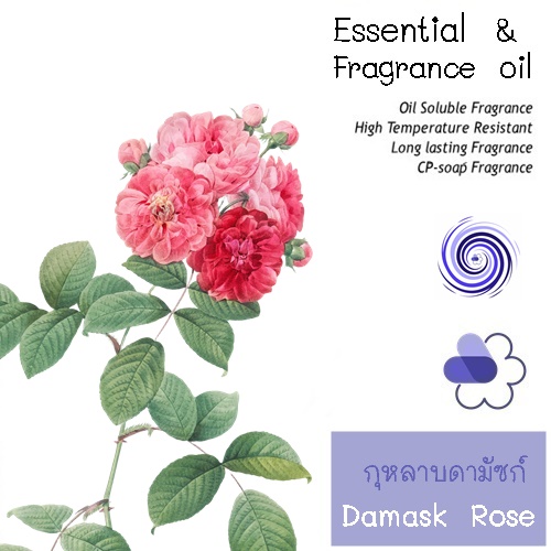Rose : Damask Rose น้ำมันหอมระเหยผสม กุหลาบดามัซก์ Fresh floral กลิ่นหอม แรง สดชื่ิน ละลายในน้ำมัน และ แอกอฮอล์ -ไม่เร่งเทรซ COA