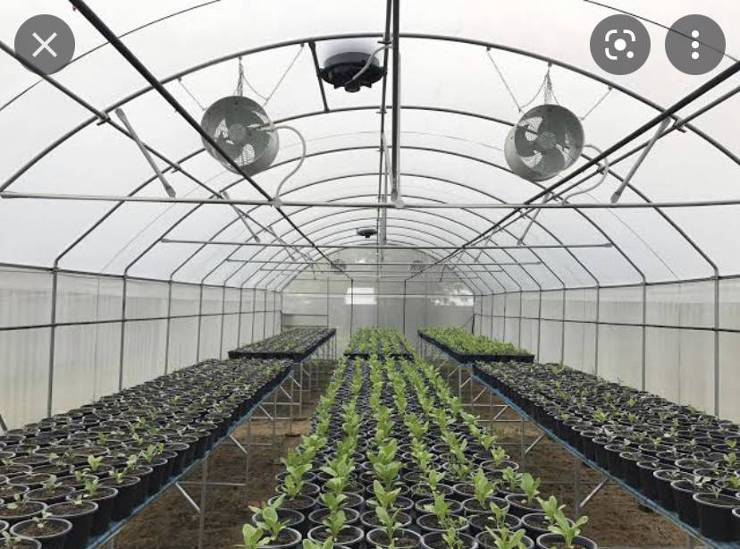 พัดลมฟาร์ม , พัดลมโรงเรือน สแตนเลส มี 16นิ้ว, พัดลมโรงเรือน สแตนเลส 20นิ้ว ใช้ไฟ 220v พัดลมเป่าใช้ในโรงเรือน พัดลมเป่าใช้ในโรงเรือน สแตนเลส มี 16 , 20นิ้ว ใช้ไฟ 220v