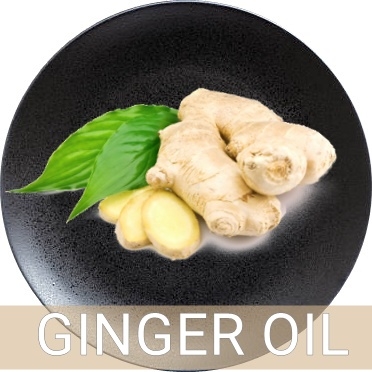 น้ำมันขิง GINGER OIL