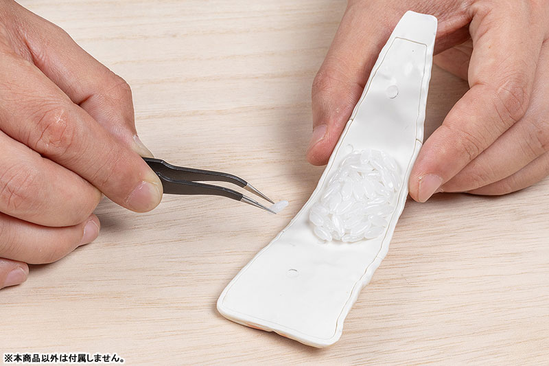 Sushi Plastic Model: Anago 1/1 Plastic Model(Pre-order)