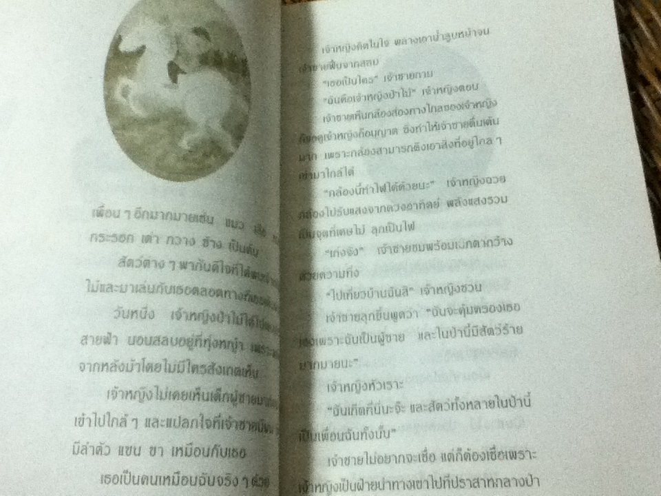 เจ้าหญิงป่าไม้/ นิรมล พฤฌาธร (หนังสือแถม)