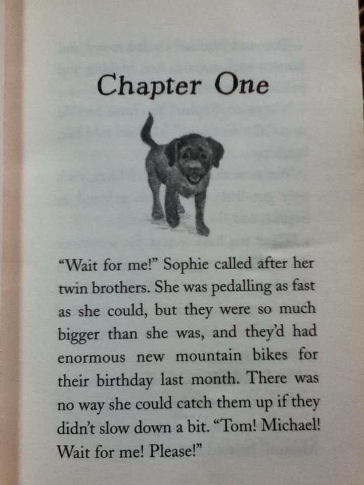 Buttons the Runaway Puppy/ Holly Webb