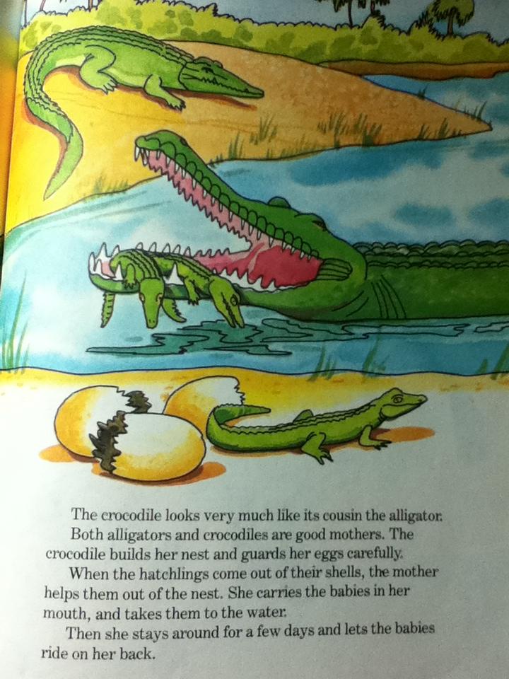 WALT DISNEY FUN-TO-LEARN LIBRARY Volume 3-19 (17 เล่ม)