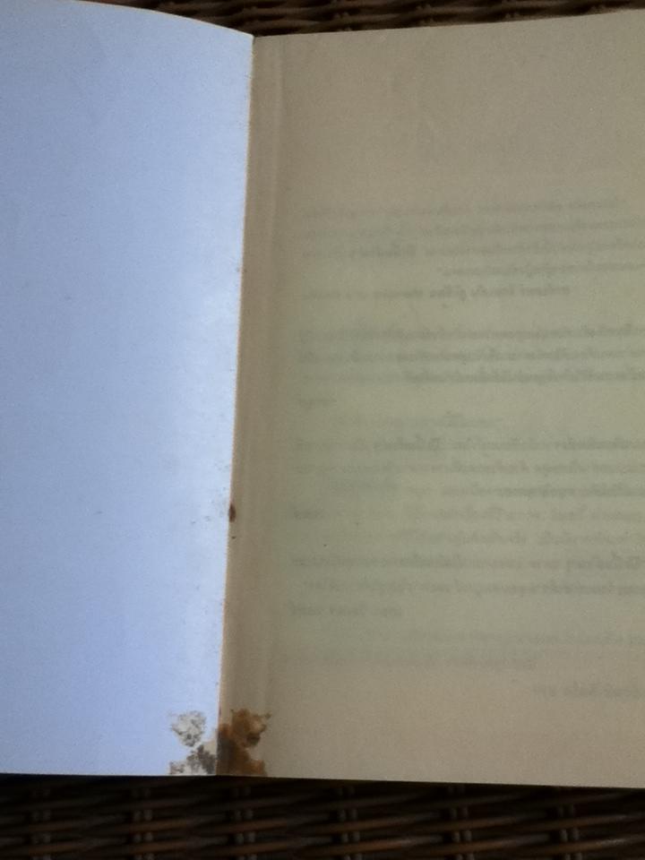 บุษบาล่าเนื้อ/ รูธ แอล. โอเซกิ/ พิกุล ธนะพรพันธุ์ ผู้แปล