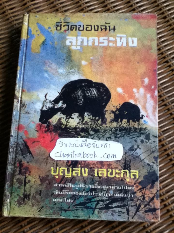 ชีวิตของฉัน ลูกกระทิง/ นายแพทย์บุญส่ง เลขะกุล