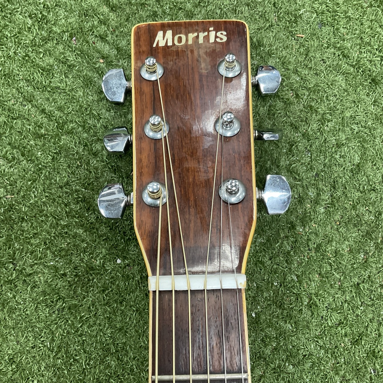 กีต้าร์โปร่ง Morris : W-30