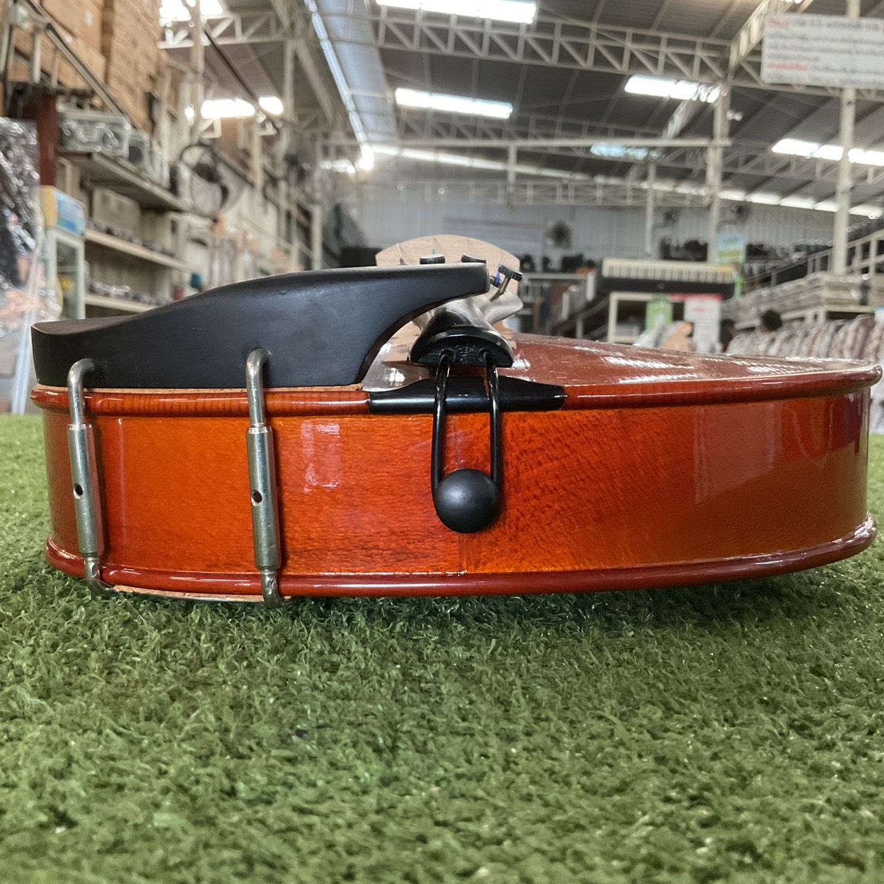 ไวโอลิน Niccolo : NV-50