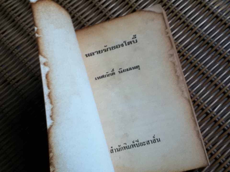 หลายรักของโดบี้/ Max Shulman