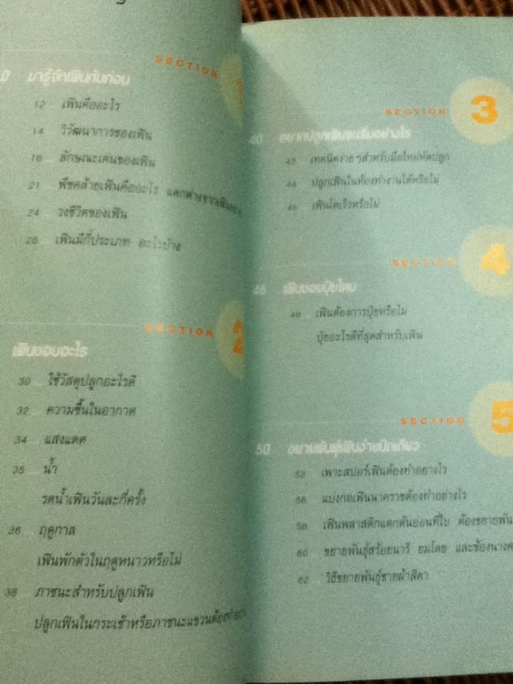 มือใหม่หัดปลูกเฟิน/ อุไร จิรมงคลการ