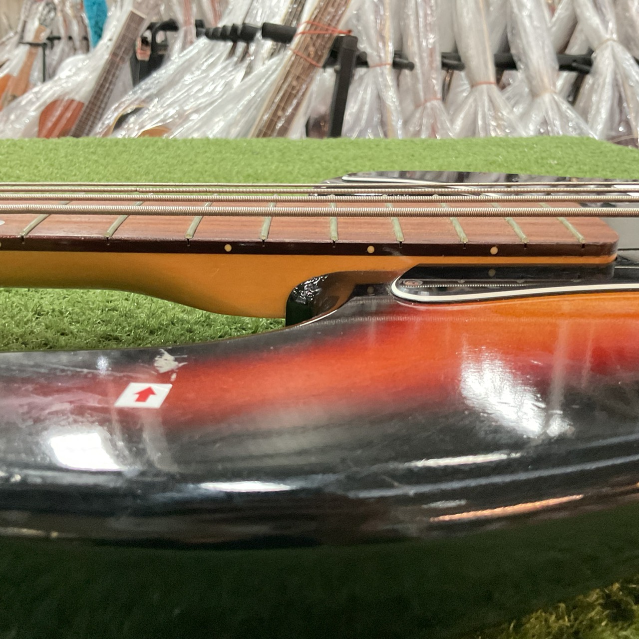 กีต้าร์เบส HOLLY : SPLENDOR