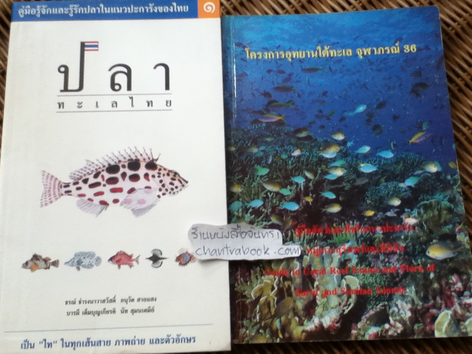 ปลาทะเลไทย เล่ม1 (พร้อมซีดีท่องทะเลชมปลา)/ ธรณ์ ธำรงนาวาสวัสดิ์ และคณะ แถม โครงการอุทยานใต้ทะเล จุฬาภรณ์36