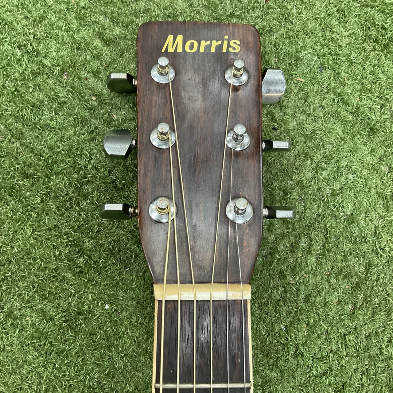 กีต้าร์โปร่ง Morris : W-20